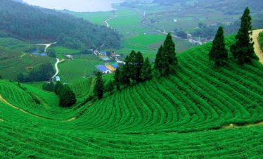 Munnar Thekkady
