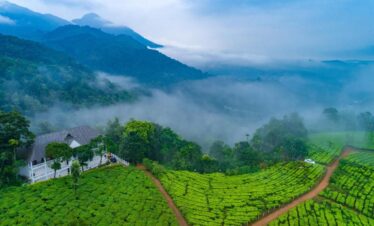 Munnar Thekkady Alleppey
