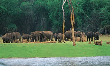 Munnar Thekkady Alleppey Kovalam
