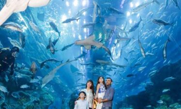 Dubai Family Fun